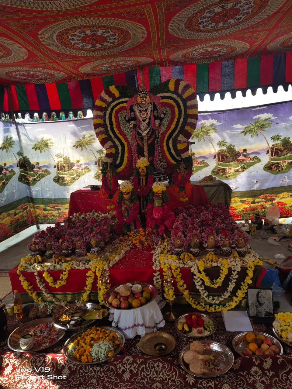 image gallery